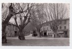 Buis-les-Baronnies, Boulevard Aristide-Briand Et Les Platanes Centenaires, 1955, Photo M. Gallet, Collection A. Buix - Buis-les-Baronnies