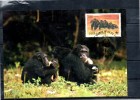 SIERRA LEONE   Carte  Maxi  WWF  Panda  Singe Chimpanzes - Chimpancés