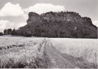 AK Sächsische Schweiz - Fels Lilienstein (19131) - Koenigstein (Saechs. Schw.)