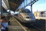 Gare De Narbonne , Aude , TGV Perpignan-Lille/Bruxelles - Une Photo Reproduit Carte Postale  10x15 Cm. - Stations With Trains