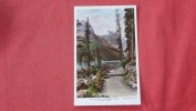 Canada > Alberta> Lake Louise  Lake Trail   RPPC  Hand Colored   ========= Ref 2027 - Lac Louise