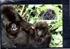 RWANDA   Carte  Maxi   WWF  Panda  Gorilles - Gorilla