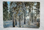 Finland Winter Landscape 1979  A 55 - Finlandia