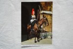England London Mounted Setry At Horse Guards Building Whitehall A 55 - Otros & Sin Clasificación
