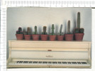 CACTUS     Sur Un    PIANO - Cactus