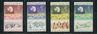 Antarctique Britannique** N° 39 à 42 - 10e An. Du Traité De L' Antarctique . - Unused Stamps