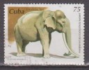 CU BA 1995 Animals From Havana Zoological Gardens. USADO - USED. - Usati