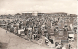 Büsum - S/w Strand Mit Wellenbad Und Liegehalle - Buesum