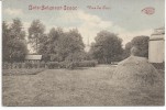 Bois-Seigneur-Isaac  Vue Du Parc - Sonstige & Ohne Zuordnung