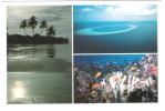 Maldiven - Maldives - Views Underwater -  Nice Stamp - Maldive