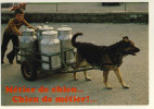 Attelage De Chien  - Carte Humoristique  -  Métier De Chien  - Chien De Métier - Vendedores Ambulantes