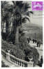 Monte-Carlo. Les Terrasses Du Casino - Le Terrazze