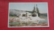 - Wyoming> Yellowstone  Park   Grotto Geyser    ====    Ref  2033 - Yellowstone