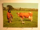 Guernsey - Guernsey Cow - Myra Of Les Houards - Autres & Non Classés