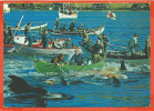 FAROE ISLANDS 003, * GRINDADRÁP * WHALE HUNTING  In FAROE ISLANDS *  SENT From NORDKAP NORGE 1978 - Islas Feroe