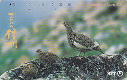 Télécarte Japon / NTT 270-354 B - Animal - OISEAU - LAGOPEDE - GROUSE Bird Japan Phonecard -  Vogel TK - 4079 - Gallinacés & Faisans