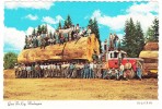 Washington : PETERBILT LOGGING TRUCK - Giant Fir Log And Logging Crew  - (USA) - Trucks, Vans &  Lorries