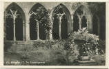 Wimpfen Im Tal - Im Klostergarten - Foto-AK - Verlag Emil Rösch Meersburg - Bad Wimpfen