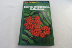 Grau/Jung/Münker "Beeren, Wildgemüse, Heilkräuter" Aus Der Reihe "Die Farbigen Naturführer" - Naturaleza