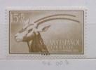 SC007 - SPAGNA Colonie Sahara Spagnolo   - 1955 " Antilopi Giornata Del Francobollo " Gomma Integra  Nuovi MNH - Sahara Espagnol