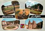 SOUVENIR D'AGEN CARTE MULTIVUES - Agen