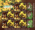 Romania 2015 / Live Healthy, Medicinal Plants / Set 4 MS With Labels And Tabs - Plantes Médicinales
