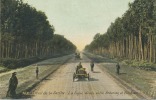 72 - Circuit De La Sarthe; La Ligne Droite Entre Ardenay Et Bouloire . - Bouloire