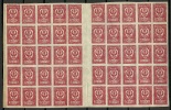 Russia Russland Fernost Far East 1921 Michel 32 As 50-block (half Of A Sheet) With Gutter (*) - Siberia And Far East