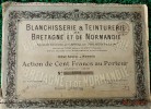 I Action   - Blanchisserie Teinturerie De BRETAGNE Et De NORMANDIE- Action De  100 FRANCS AU PORTEUR - 1920 - Textile
