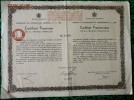 1 ACTION   -  CERTIFICAT FRACTIONNAIRE  De ROUMANIE De 1934 - Navegación