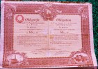 1 ACTION - OBLIGATION  Du 4 éme EMPRUNT De CONVERSION DE LA VILLE DE VARSOVIE 66 ZLOTYS CINQUANTE  1931 - Schiffahrt