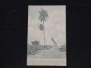 JAMAIQUE - Cocoanut Palms - Cp Voyagée Pour La France En 1905 - A Voir - Lot P11608 - Giamaica