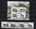 2015, WWF - Eurasian Wolf 4v.+ S/S - Used/oblitere (O)  Bulgaria/ Bulgarie - Oblitérés