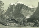 WETTERHORN - CARTE POSTALE SUISSE - Horn