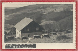 67 - BELLEFOSSE - Carte Photo - Refuge - Chalet - " LA ROCHE " - S.C.S. Bellefosse - Autres & Non Classés