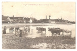 Indre - 36 - étang De La Gabrière Vaches Animée , Près Mézières En Brenne , 1909 - Autres & Non Classés