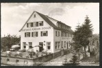DOBEL Calw Gasthaus Pension ZUM OCHSEN Schwarzwald Herrenalb Pforzheim 1958 - Calw