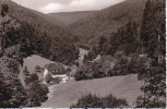 AK Untere Karpfenhardter Mühle Im Schwarzwald (19347) - Calw