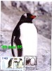 2012 XX Antartic Expedition - Penguin Ghento  MC- (maximum Card)  BULGARIA / Bulgarie - Penguins