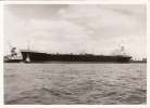 30799- MTS NEVERITA TANKER, SHIP - Tankers