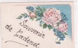 ¤¤  -  CADENET  -  Souvenir De ........  -  Carte Fantaisie Gauffrée à Paillettes   -  Fleurs   -  ¤¤ - Cadenet