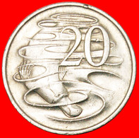 * DUCKBILL PLATYPUS (1966-2022): AUSTRALIA ★ 20 CENTS 1977!  LOW START★ NO RESERVE! - 20 Cents