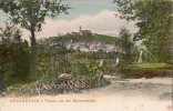 KONIGSTEIN I TAUNUS VON DER BISMARCKEICHE ANIMEE (CARTE COLORISEE) - Königstein