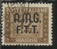 TRIESTE A 1947 - 1949 AMG-FTT SEGNATASSE POSTAGE DUE TAXES TASSE LIRE 12 USATO USED OBLITERE - Taxe