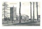 Palgrave Church - Other & Unclassified