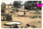 TCHAD - GUERA - Puisards Et Abreuvoirs - Ciad