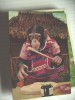 Aap Monkey Affe Singe With Clothes 6 - Geklede Dieren