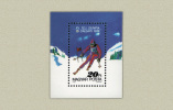 Hungary 1987. Winter Olimpic Games, Calgary Sheet MNH (**) Michel: Block 193A / 5 EUR - Nuovi