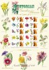 GB 2009 VICTORIAN GARDEN FLOWERS HISTORY OF BRITAIN Nº 36 SMILER SHEET SC-BC-208 - Francobolli Personalizzati