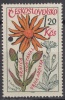 Specimen, Czechoslovakia Sc1358 Medicinal Plant, Arnica, Plantes Médicinales - Plantas Medicinales